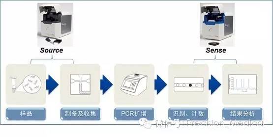 基因突變檢測技術 原理、應用與未來展望